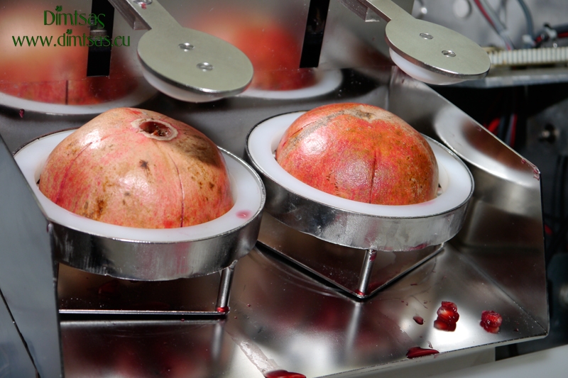 Pomegranate Peeling and Deseeding Machine